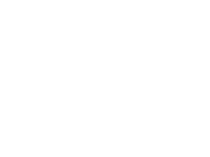 Ivory Picnic Company